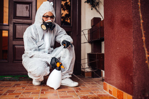 Reliable Cockroach Control contractor in Fayetteville, PA by Nex Pest Control
