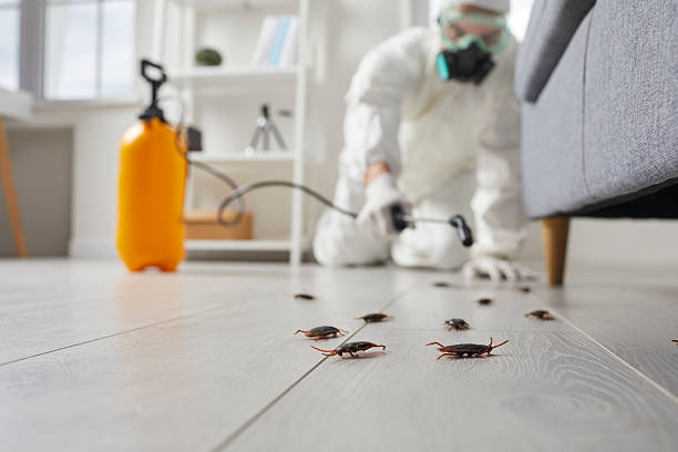 Trusted Rodent Control service in Fayetteville, PA - Nex Pest Control