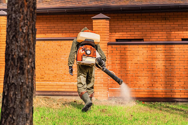 Trusted Cockroach Control service in Fayetteville, PA - Nex Pest Control